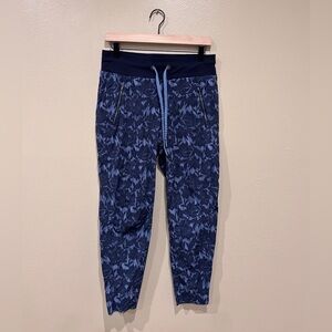 Athleta Trekkie North Jogger Pant in Ethereal Bloom Cottage Size 6 #988236 EUC